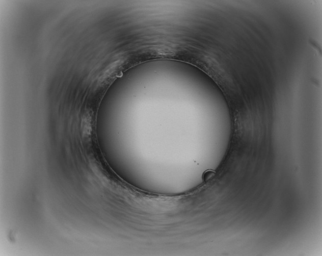 X0000103130032200808221204