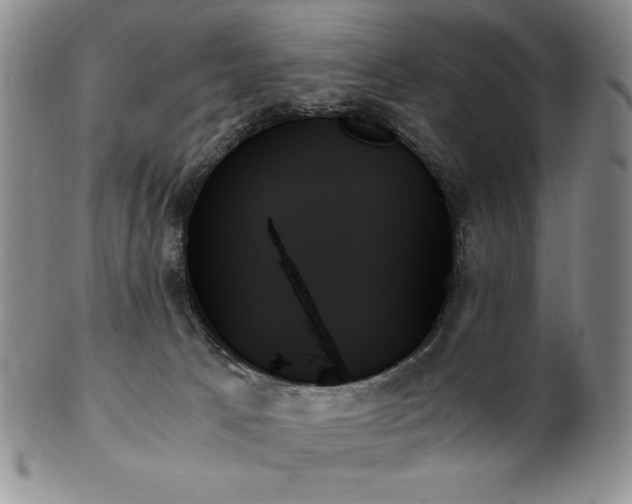 X0000103130033200808221204