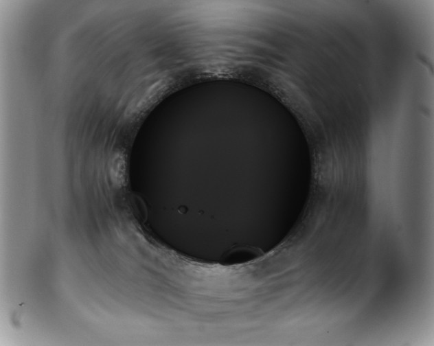X0000103130036200808221204