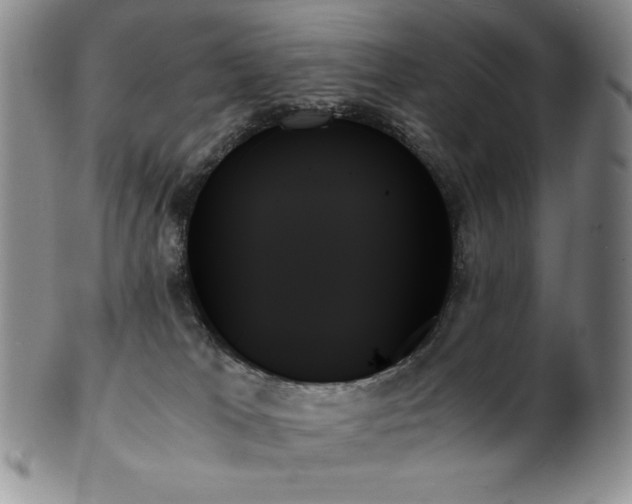X0000103130037200808221204