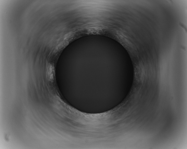 X0000103130038200808221204