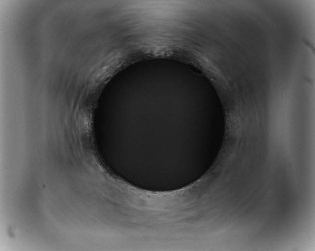 X0000103130039200808221204