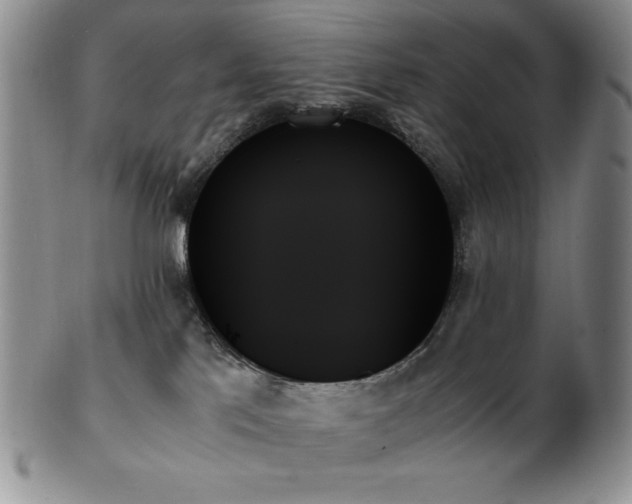 X0000103130041200808221204