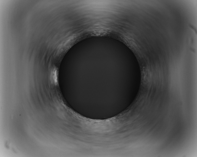 X0000103130042200808221204