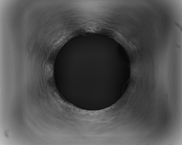 X0000103130043200808221204