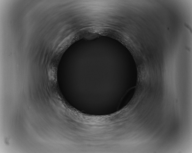X0000103130044200808221203