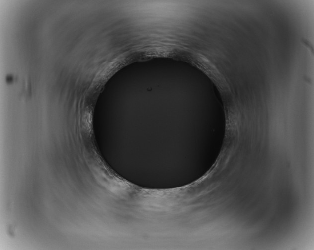 X0000103130045200808221203