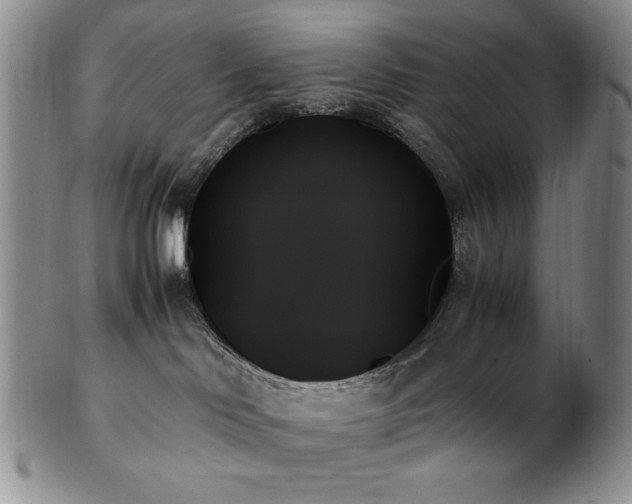 X0000103130046200808221203