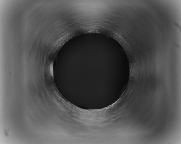 X0000103130047200808221203
