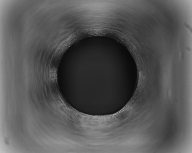 X0000103130048200808221203