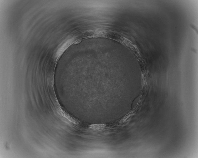 X0000103130051200808221203