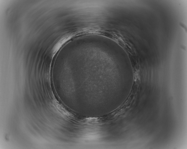X0000103130052200808221203