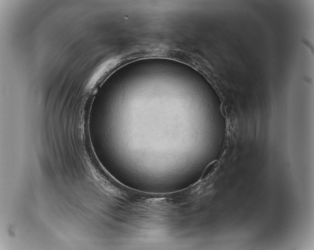 X0000103130054200808221203