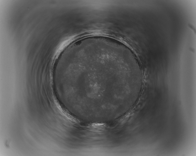 X0000103130055200808221203