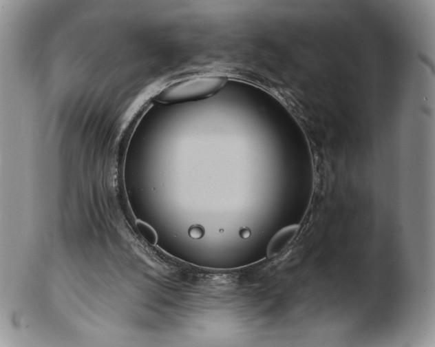 X0000103130056200808221203