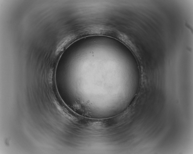 X0000103130058200808221203