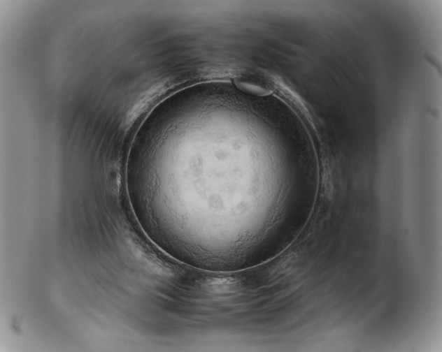 X0000103130059200808221203