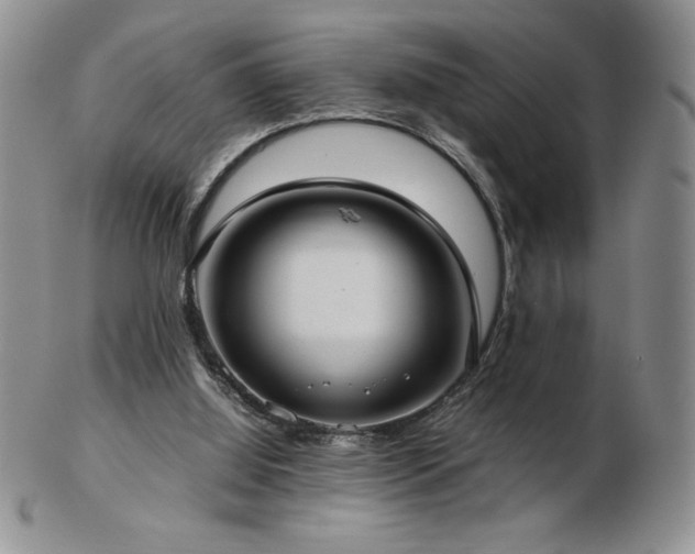 X0000103130060200808221203