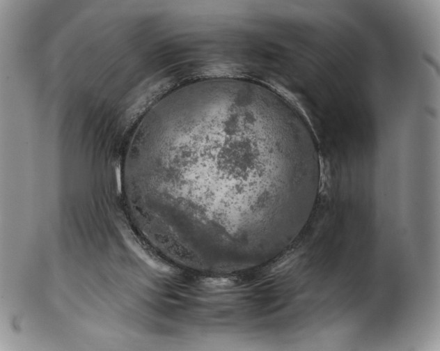 X0000103130061200808221203