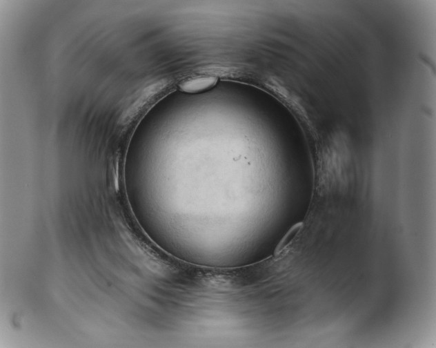 X0000103130062200808221203