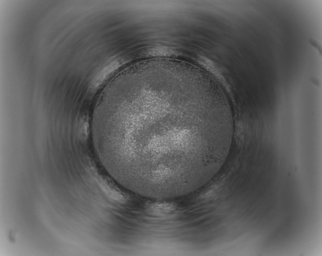 X0000103130063200808221203