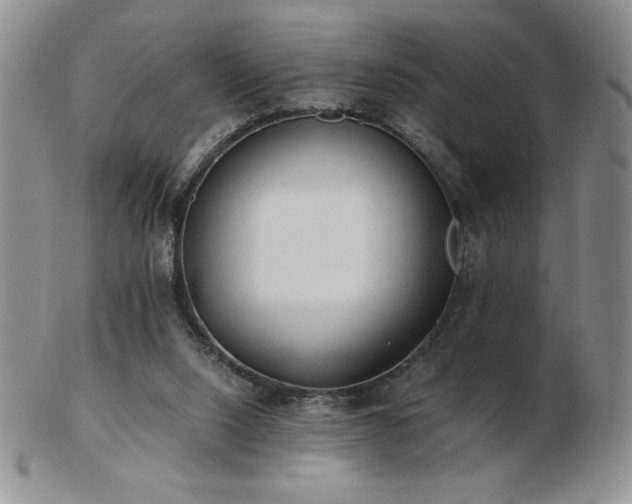 X0000103130064200808221203