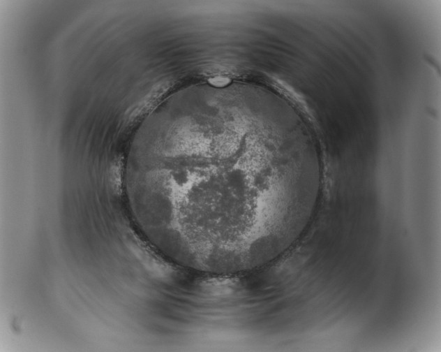 X0000103130065200808221203