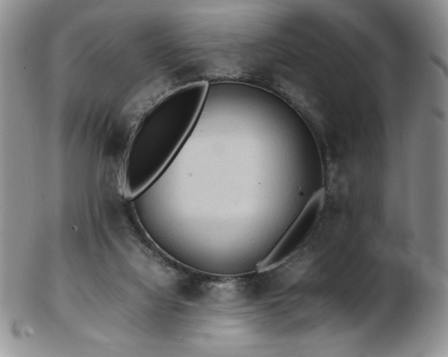 X0000103130068200808221203