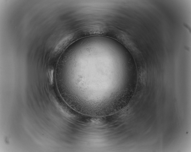 X0000103130070200808221203
