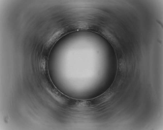 X0000103130072200808221203