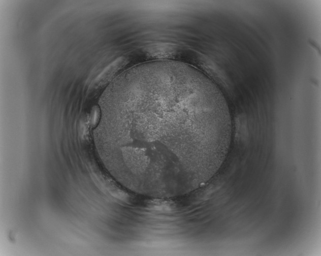 X0000103130073200808221203