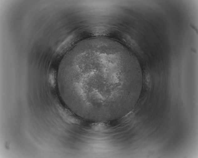 X0000103130074200808221203