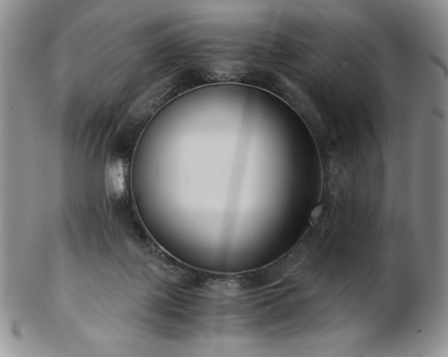 X0000103130075200808221203