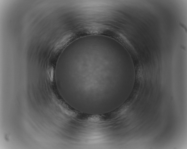X0000103130076200808221203
