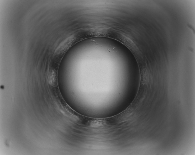 X0000103130077200808221203
