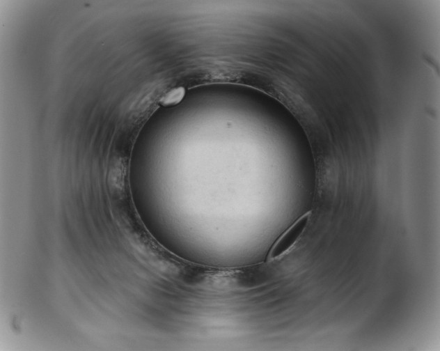 X0000103130078200808221203