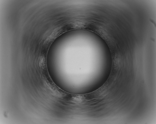 X0000103130079200808221203