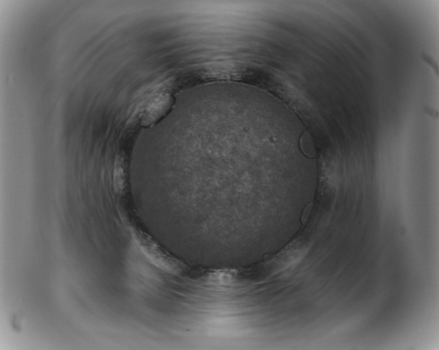 X0000103130080200808221203