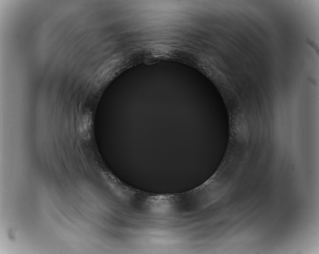X0000103130082200808221203