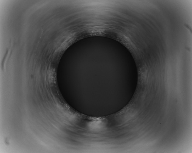 X0000103130083200808221203