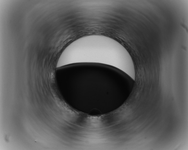 X0000103130084200808221203