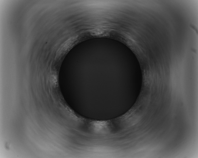 X0000103130085200808221203