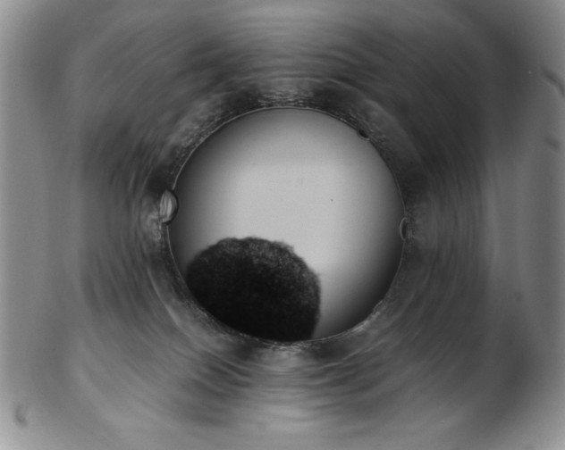 X0000103130086200808221203