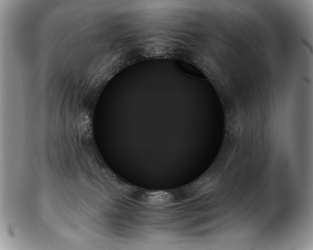 X0000103130087200808221203