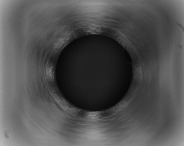 X0000103130088200808221203