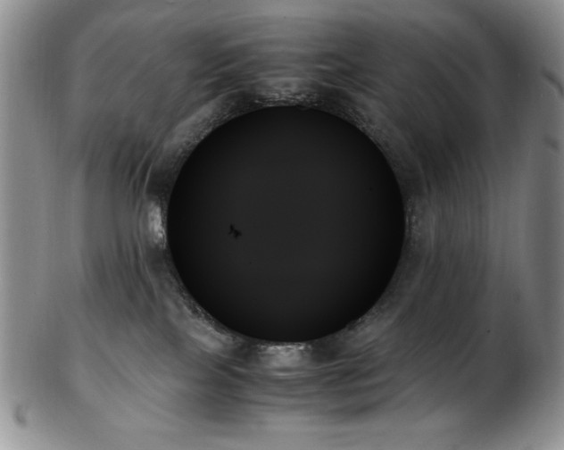 X0000103130089200808221203
