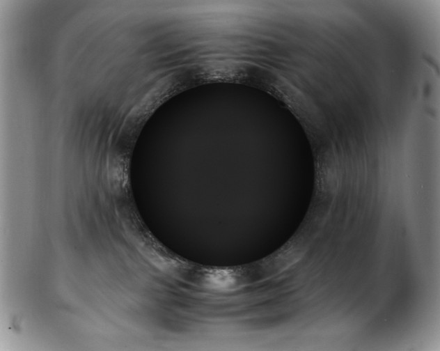 X0000103130091200808221203