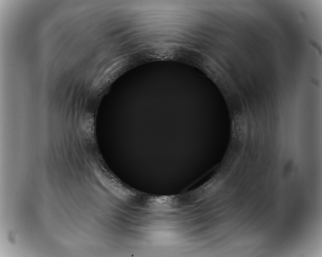 X0000103130092200808221203