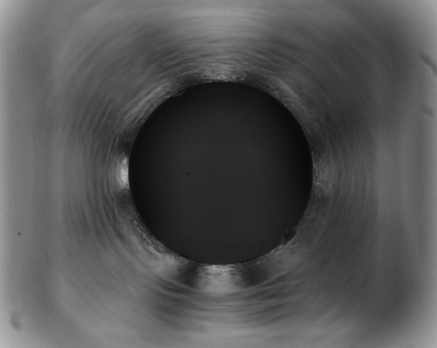 X0000103130095200808221203