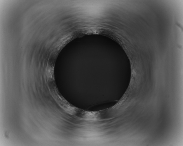 X0000103130096200808221203